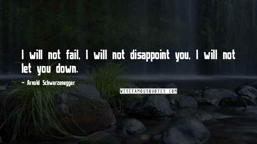 Arnold Schwarzenegger Quotes: I will not fail, I will not disappoint you, I will not let you down.