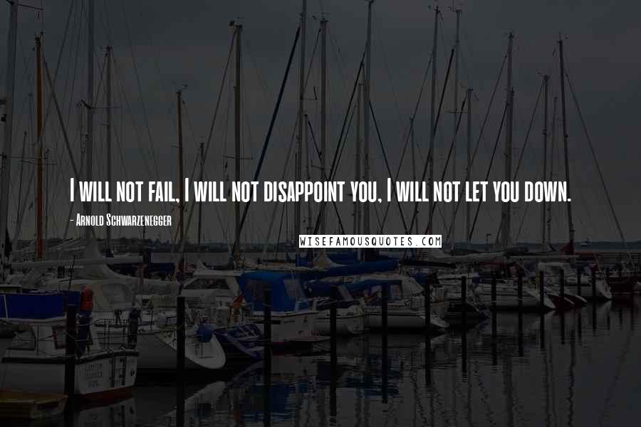 Arnold Schwarzenegger Quotes: I will not fail, I will not disappoint you, I will not let you down.