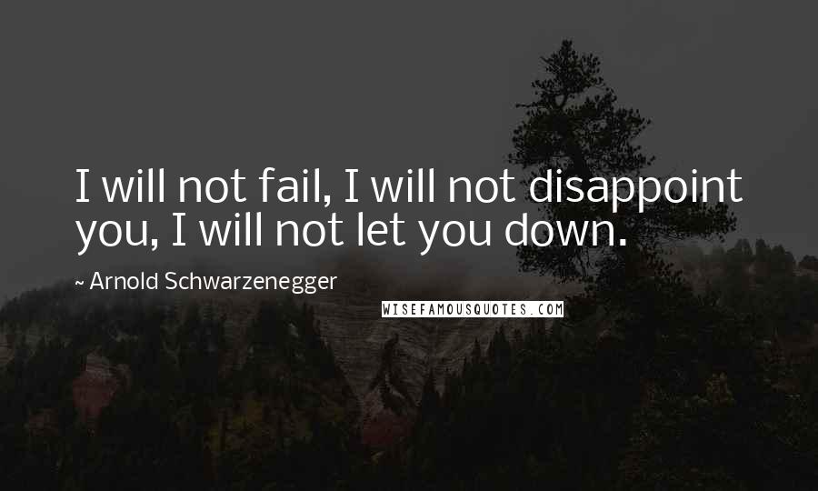 Arnold Schwarzenegger Quotes: I will not fail, I will not disappoint you, I will not let you down.