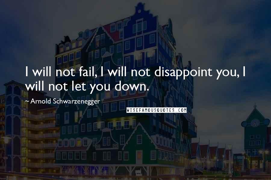 Arnold Schwarzenegger Quotes: I will not fail, I will not disappoint you, I will not let you down.