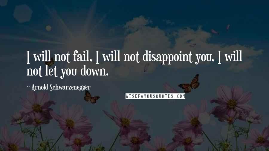 Arnold Schwarzenegger Quotes: I will not fail, I will not disappoint you, I will not let you down.