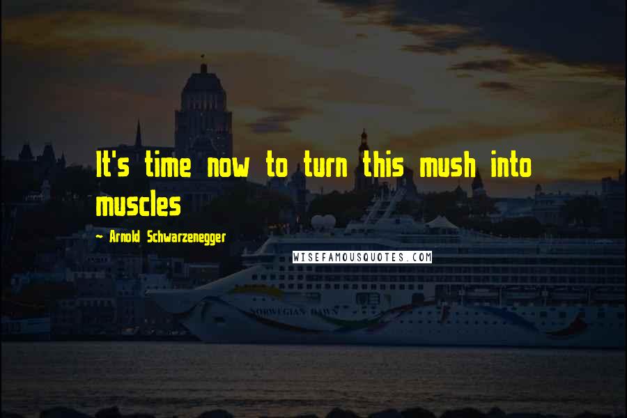Arnold Schwarzenegger Quotes: It's time now to turn this mush into muscles