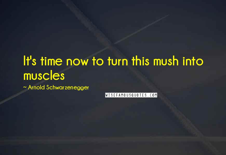 Arnold Schwarzenegger Quotes: It's time now to turn this mush into muscles