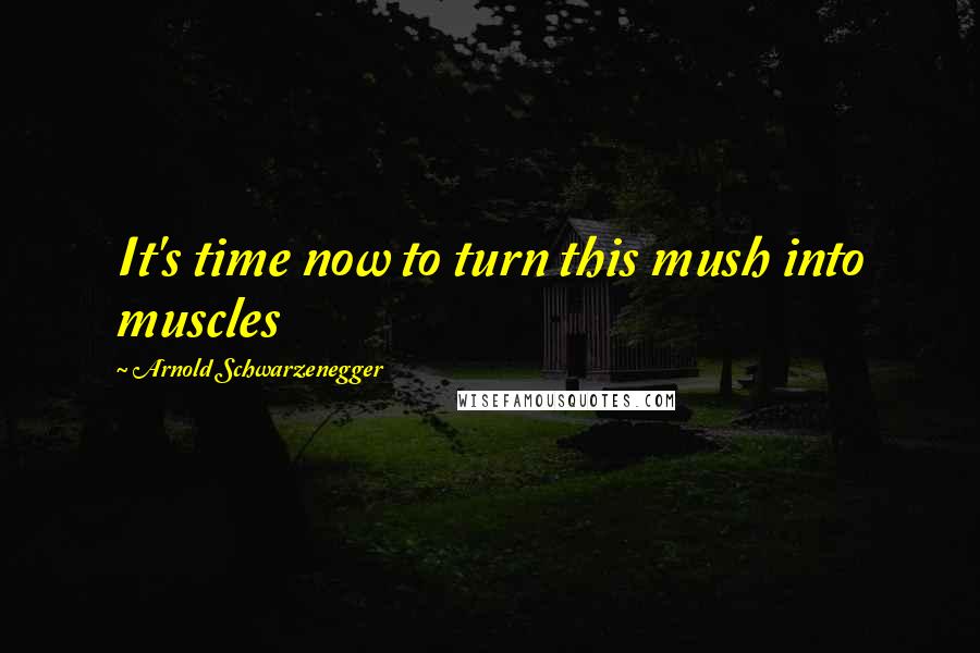 Arnold Schwarzenegger Quotes: It's time now to turn this mush into muscles