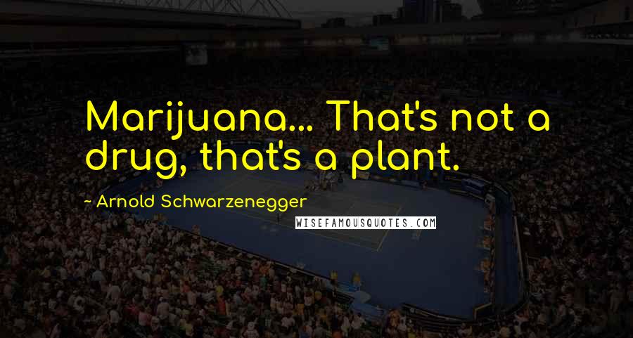 Arnold Schwarzenegger Quotes: Marijuana... That's not a drug, that's a plant.
