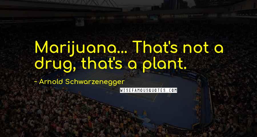 Arnold Schwarzenegger Quotes: Marijuana... That's not a drug, that's a plant.