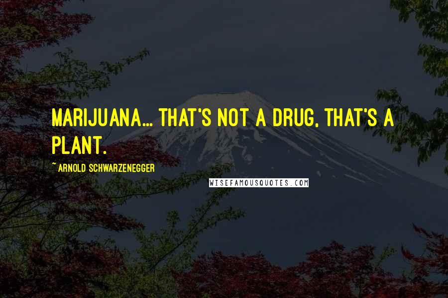 Arnold Schwarzenegger Quotes: Marijuana... That's not a drug, that's a plant.