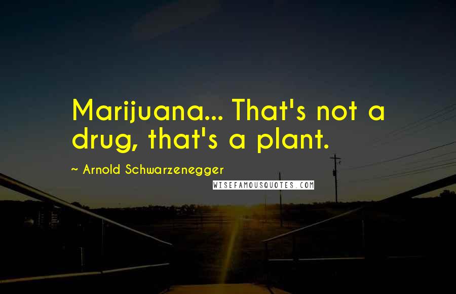 Arnold Schwarzenegger Quotes: Marijuana... That's not a drug, that's a plant.