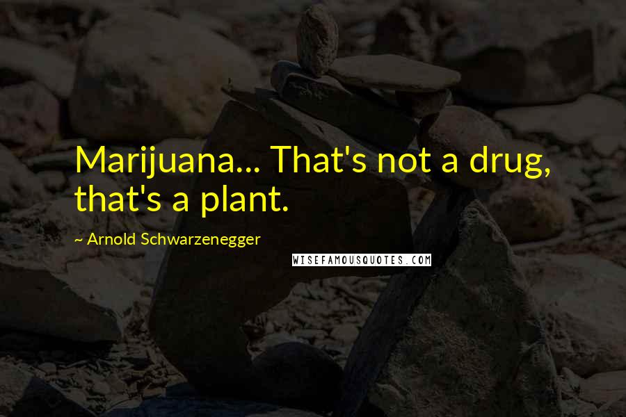 Arnold Schwarzenegger Quotes: Marijuana... That's not a drug, that's a plant.