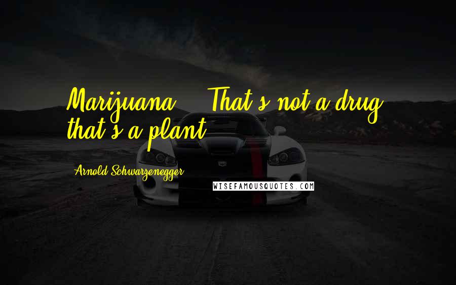 Arnold Schwarzenegger Quotes: Marijuana... That's not a drug, that's a plant.