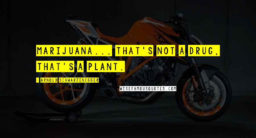 Arnold Schwarzenegger Quotes: Marijuana... That's not a drug, that's a plant.