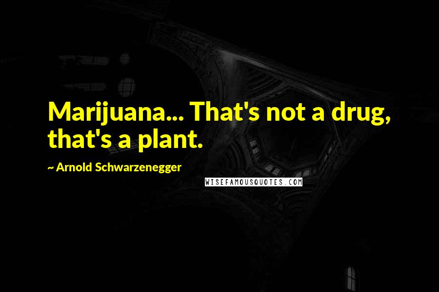 Arnold Schwarzenegger Quotes: Marijuana... That's not a drug, that's a plant.