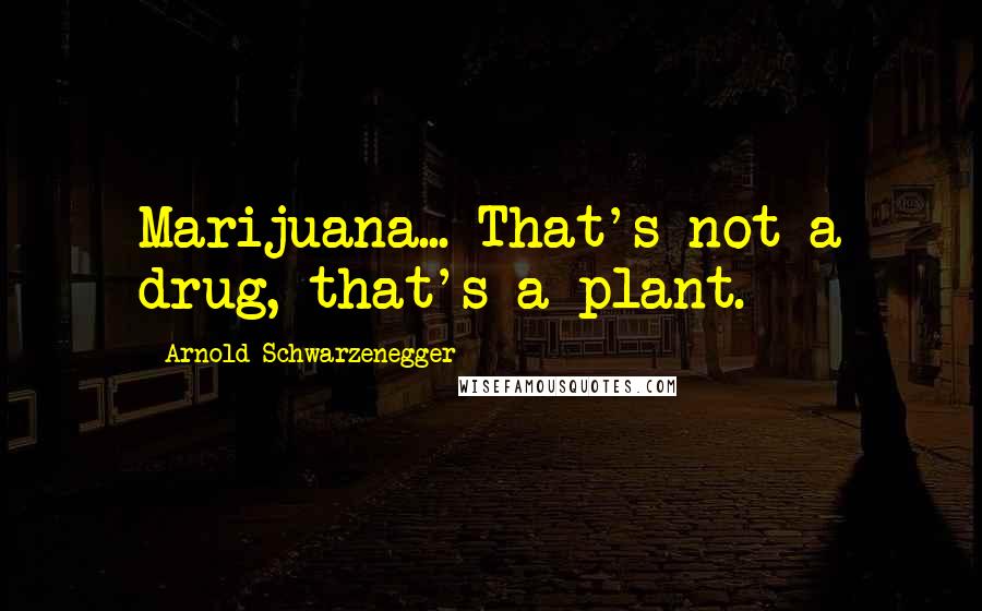 Arnold Schwarzenegger Quotes: Marijuana... That's not a drug, that's a plant.