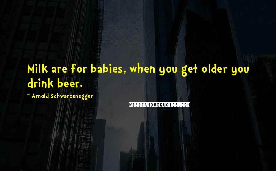 Arnold Schwarzenegger Quotes: Milk are for babies, when you get older you drink beer.