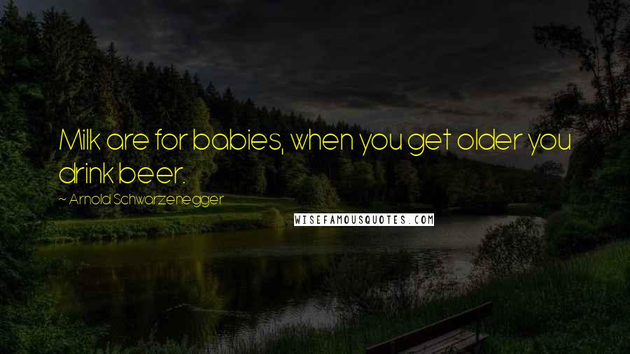 Arnold Schwarzenegger Quotes: Milk are for babies, when you get older you drink beer.