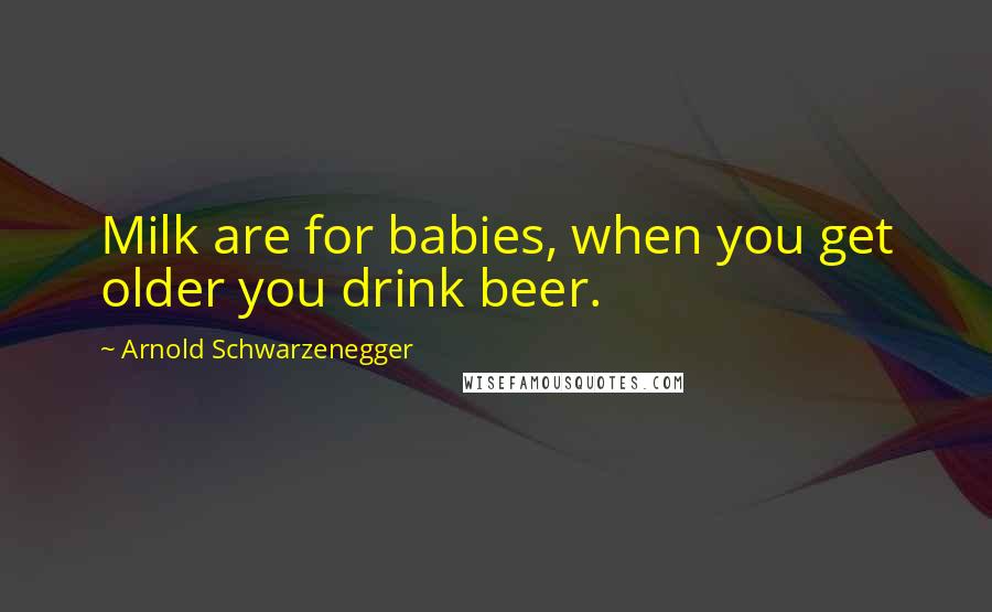 Arnold Schwarzenegger Quotes: Milk are for babies, when you get older you drink beer.
