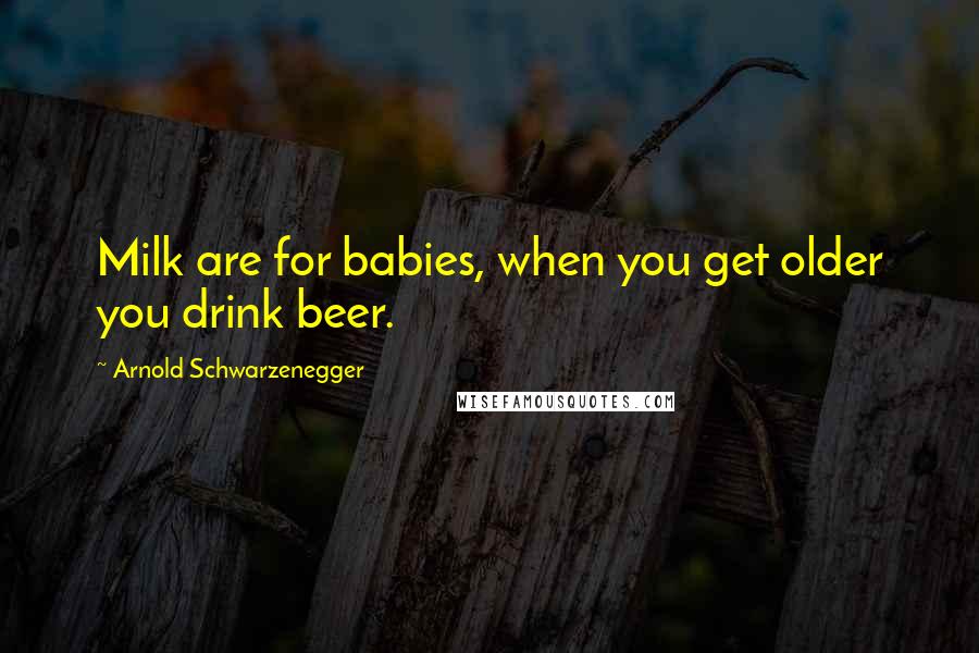 Arnold Schwarzenegger Quotes: Milk are for babies, when you get older you drink beer.