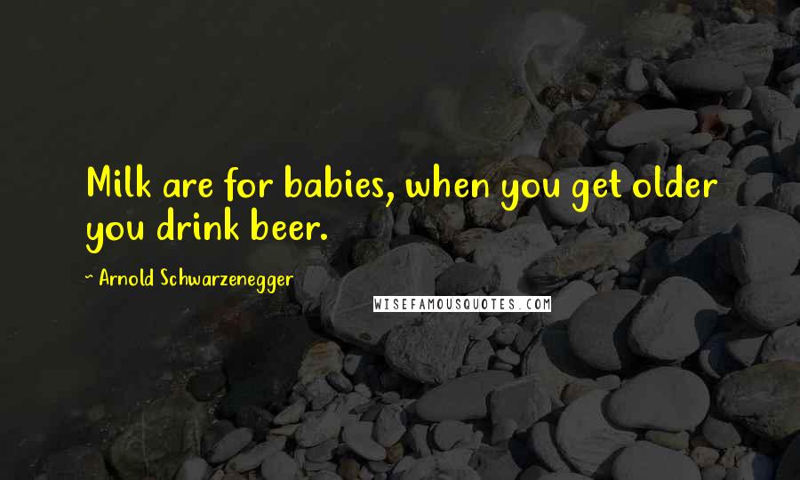 Arnold Schwarzenegger Quotes: Milk are for babies, when you get older you drink beer.