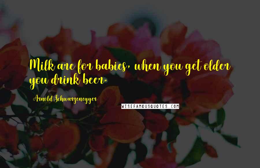 Arnold Schwarzenegger Quotes: Milk are for babies, when you get older you drink beer.