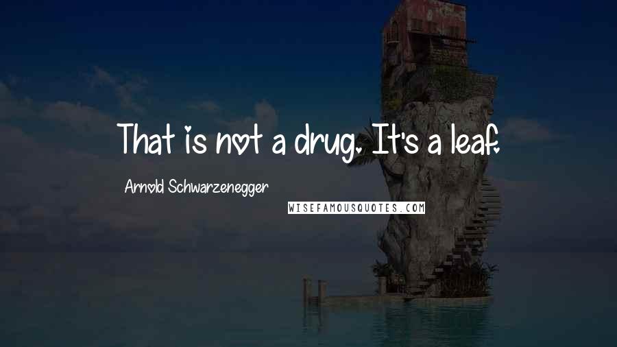 Arnold Schwarzenegger Quotes: That is not a drug. It's a leaf.