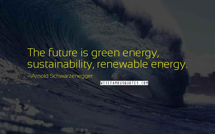Arnold Schwarzenegger Quotes: The future is green energy, sustainability, renewable energy.