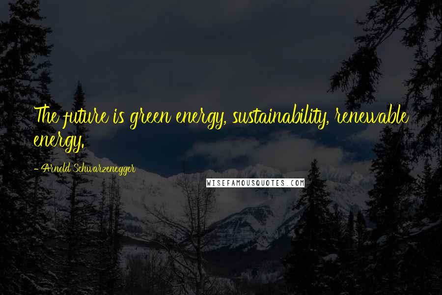 Arnold Schwarzenegger Quotes: The future is green energy, sustainability, renewable energy.