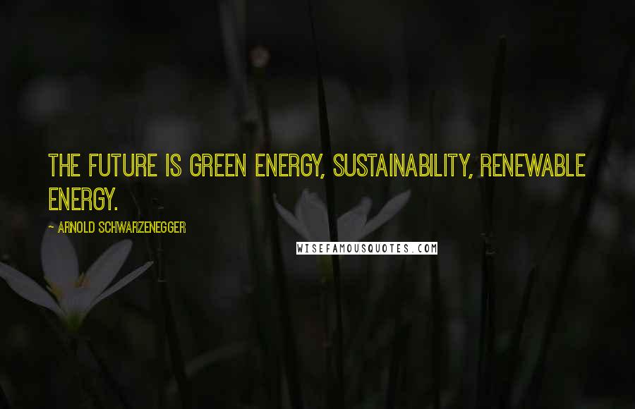 Arnold Schwarzenegger Quotes: The future is green energy, sustainability, renewable energy.