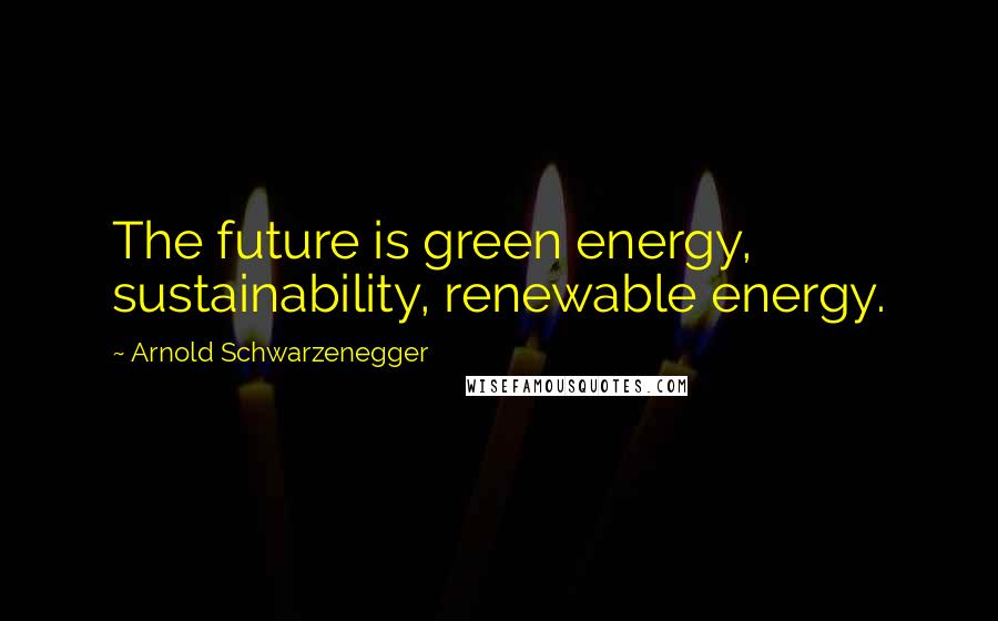 Arnold Schwarzenegger Quotes: The future is green energy, sustainability, renewable energy.