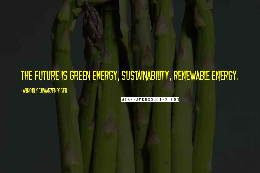 Arnold Schwarzenegger Quotes: The future is green energy, sustainability, renewable energy.