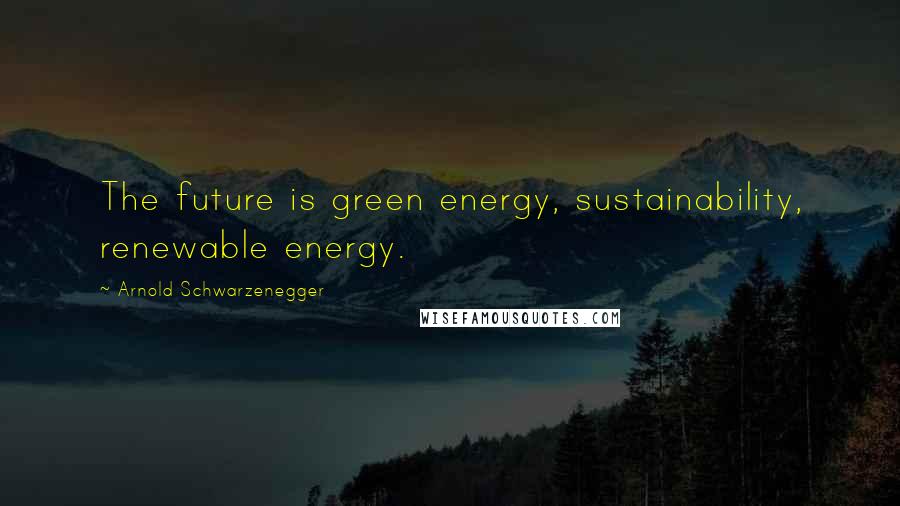 Arnold Schwarzenegger Quotes: The future is green energy, sustainability, renewable energy.