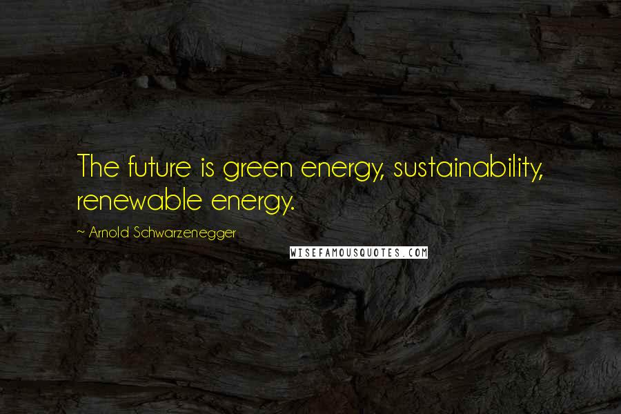 Arnold Schwarzenegger Quotes: The future is green energy, sustainability, renewable energy.