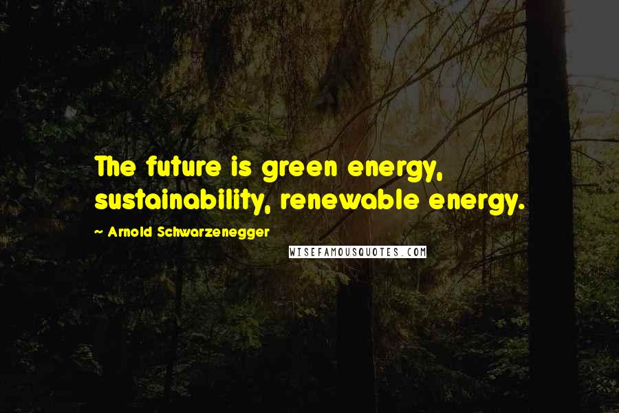 Arnold Schwarzenegger Quotes: The future is green energy, sustainability, renewable energy.