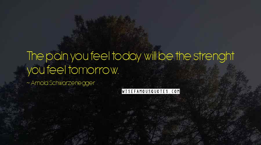 Arnold Schwarzenegger Quotes: The pain you feel today will be the strenght you feel tomorrow.