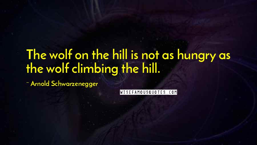 Arnold Schwarzenegger Quotes: The wolf on the hill is not as hungry as the wolf climbing the hill.