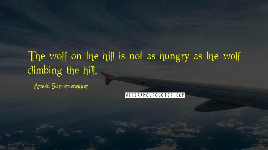 Arnold Schwarzenegger Quotes: The wolf on the hill is not as hungry as the wolf climbing the hill.