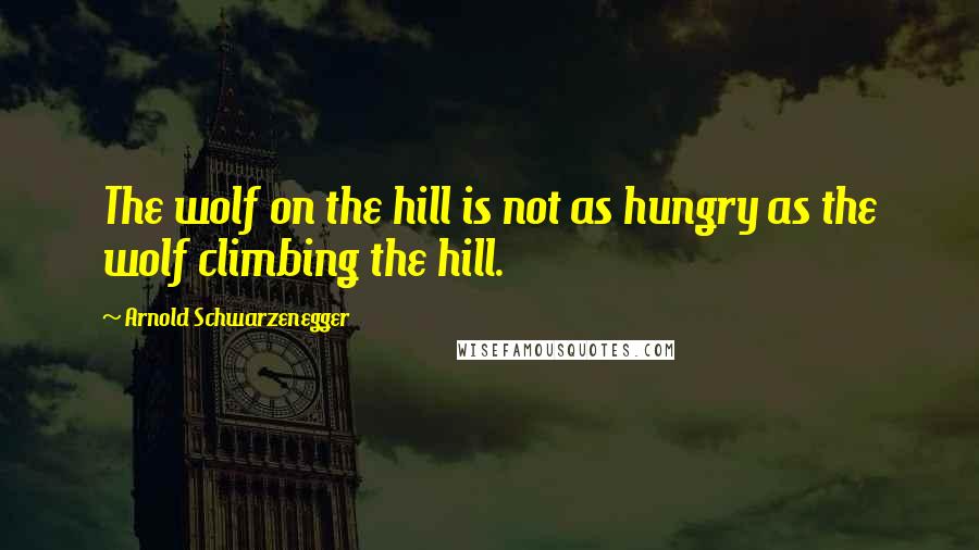 Arnold Schwarzenegger Quotes: The wolf on the hill is not as hungry as the wolf climbing the hill.