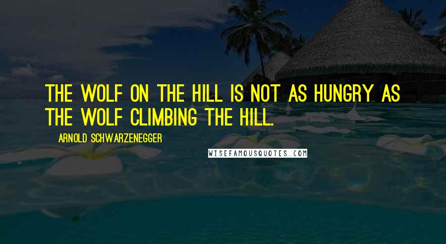 Arnold Schwarzenegger Quotes: The wolf on the hill is not as hungry as the wolf climbing the hill.