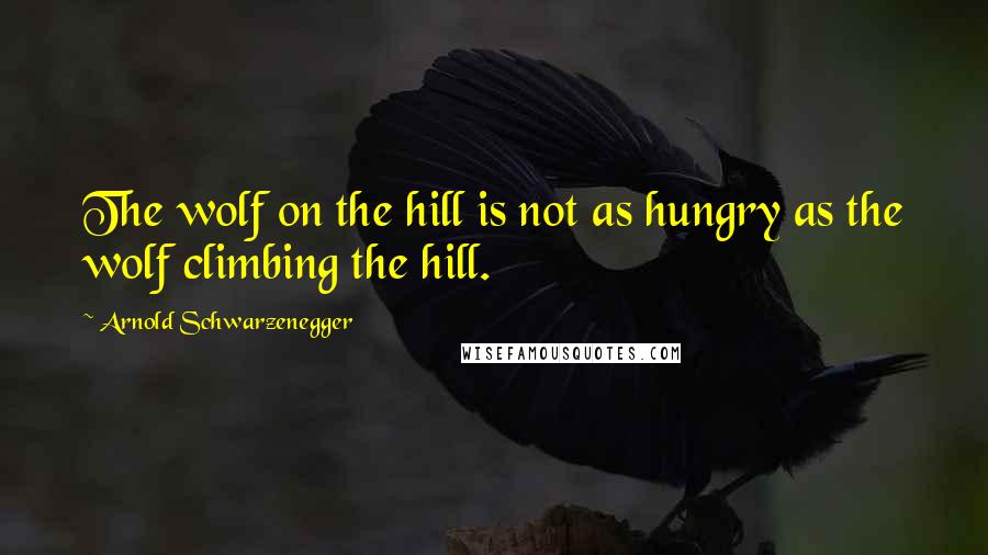 Arnold Schwarzenegger Quotes: The wolf on the hill is not as hungry as the wolf climbing the hill.