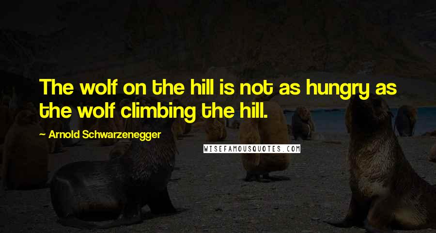 Arnold Schwarzenegger Quotes: The wolf on the hill is not as hungry as the wolf climbing the hill.