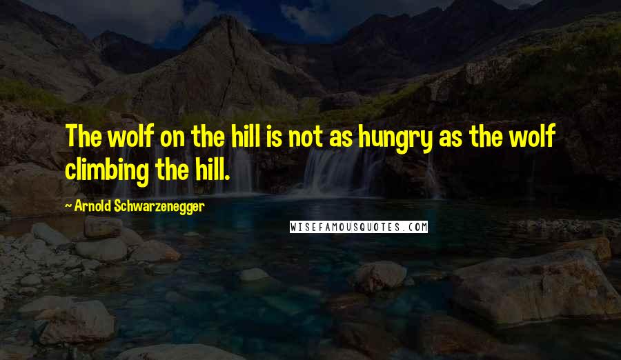 Arnold Schwarzenegger Quotes: The wolf on the hill is not as hungry as the wolf climbing the hill.