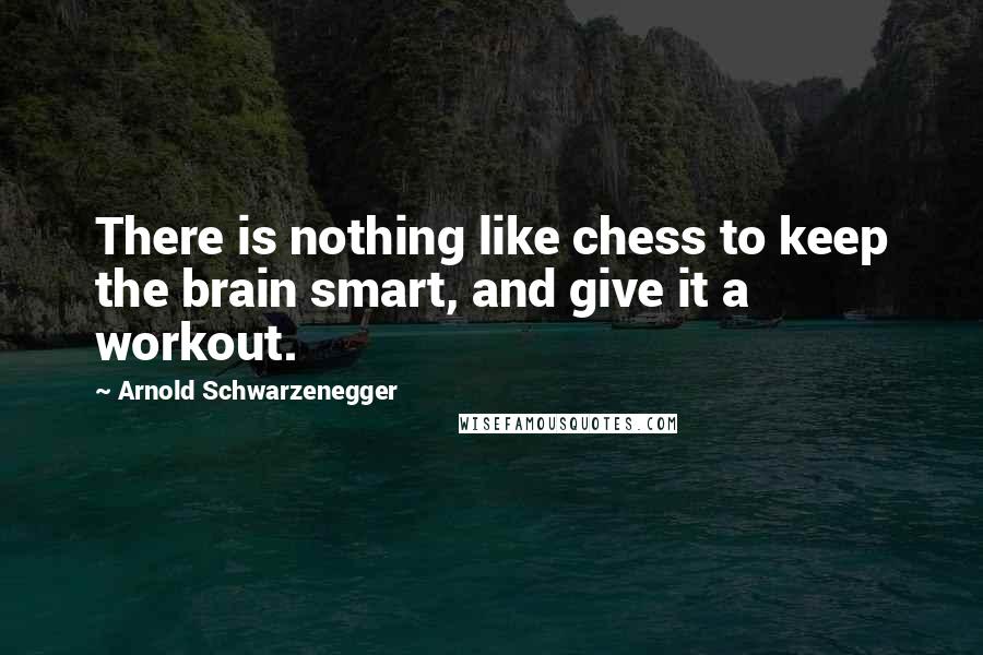 Arnold Schwarzenegger Quotes: There is nothing like chess to keep the brain smart, and give it a workout.
