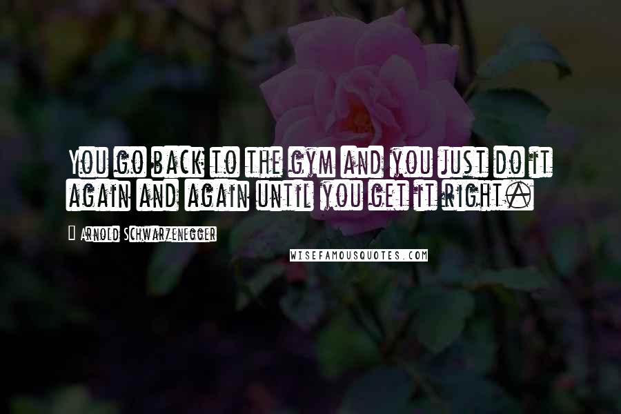 Arnold Schwarzenegger Quotes: You go back to the gym and you just do it again and again until you get it right.