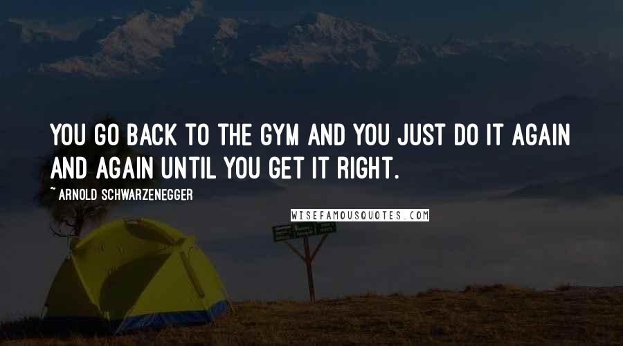 Arnold Schwarzenegger Quotes: You go back to the gym and you just do it again and again until you get it right.