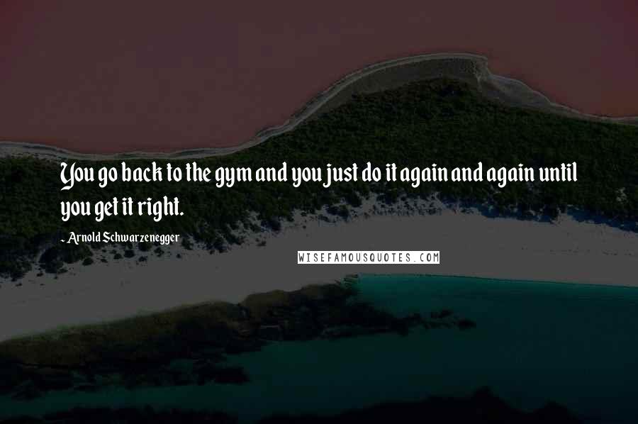 Arnold Schwarzenegger Quotes: You go back to the gym and you just do it again and again until you get it right.