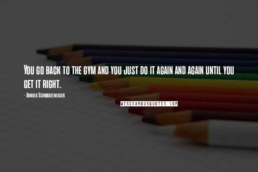 Arnold Schwarzenegger Quotes: You go back to the gym and you just do it again and again until you get it right.