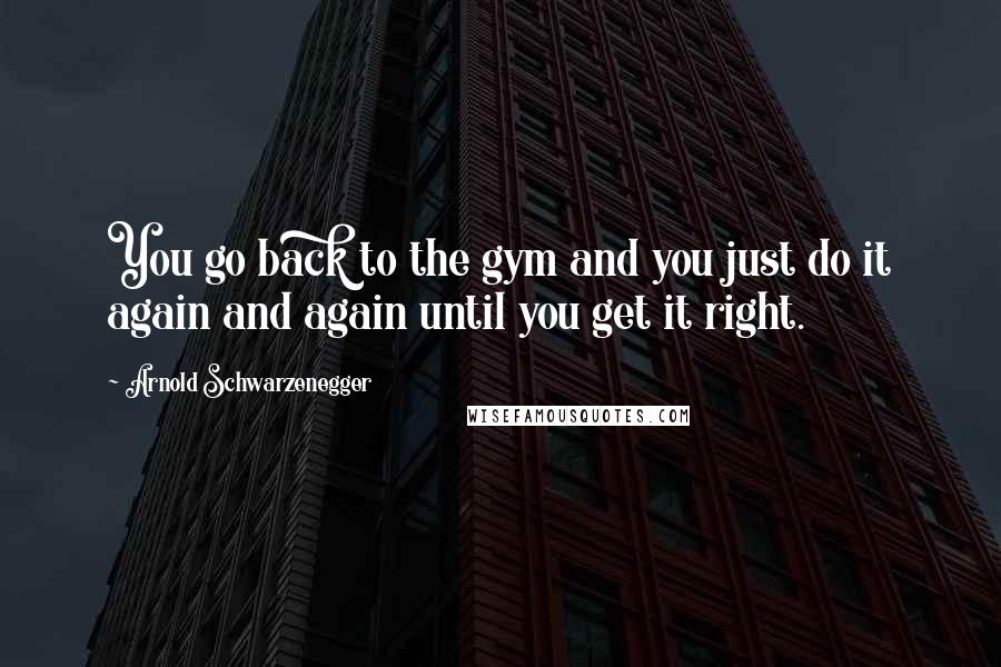 Arnold Schwarzenegger Quotes: You go back to the gym and you just do it again and again until you get it right.