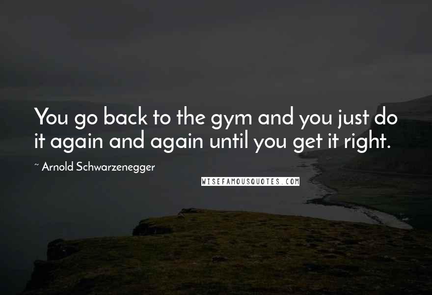 Arnold Schwarzenegger Quotes: You go back to the gym and you just do it again and again until you get it right.