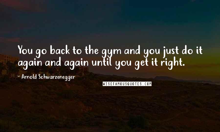 Arnold Schwarzenegger Quotes: You go back to the gym and you just do it again and again until you get it right.