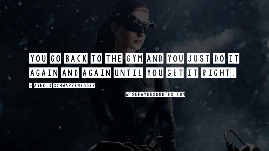 Arnold Schwarzenegger Quotes: You go back to the gym and you just do it again and again until you get it right.