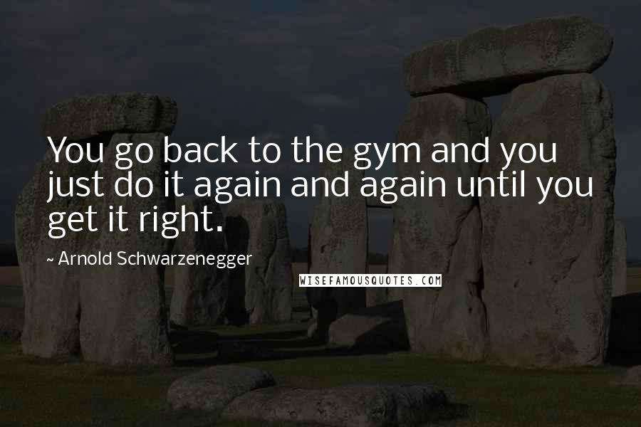 Arnold Schwarzenegger Quotes: You go back to the gym and you just do it again and again until you get it right.